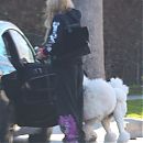 outwithdogs090223-010.JPG