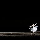 tylershields2013-004.jpg