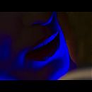vlcsnap-2020-09-10-14h28m32s235.jpg