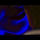vlcsnap-2020-09-10-14h28m32s932.jpg