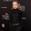 wakandaforeverpremiere261022-009.JPG