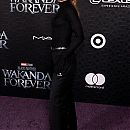 wakandaforeverpremiere261022-026.JPG