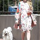 walkingdog170718-002.jpg