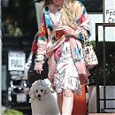 walkingdog170718-003.jpg