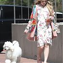 walkingdog170718-005.jpg