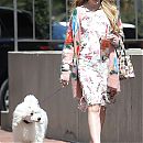 walkingdog170718-006.jpg
