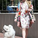 walkingdog170718-007.jpg